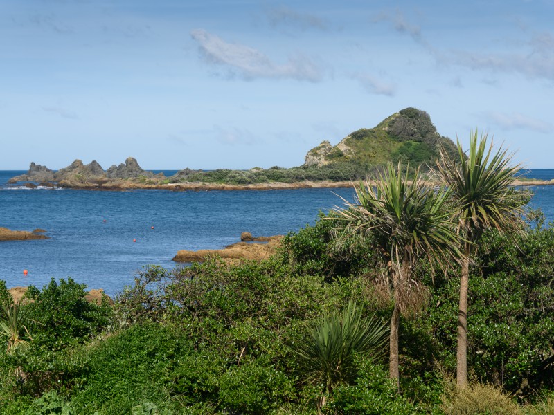 190 The Esplanade, Island Bay Wellington 6023 Tommy's Real Estate