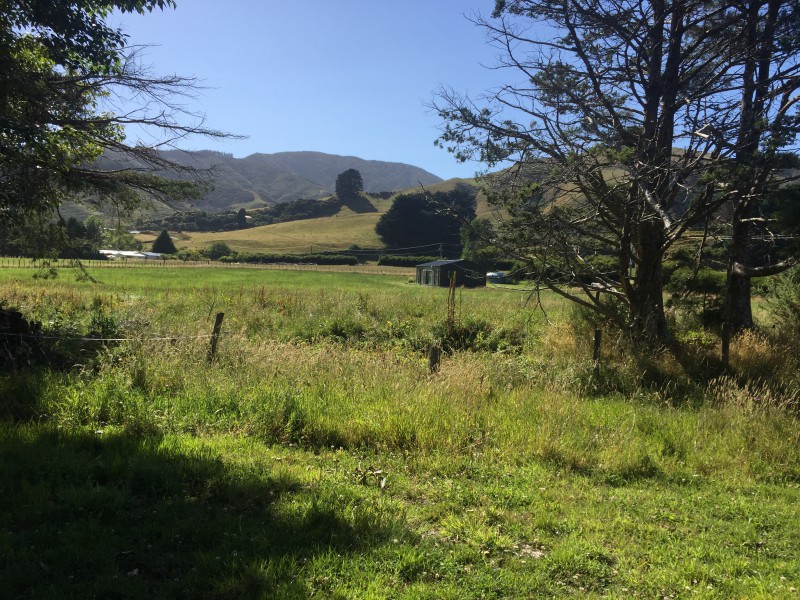 866 Whitemans Valley Road, Whitemans Valley Upper Hutt Tommy's Real