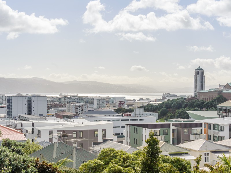 28D Bidwill Street, Mount Cook Wellington 6021 Tommy's Real Estate