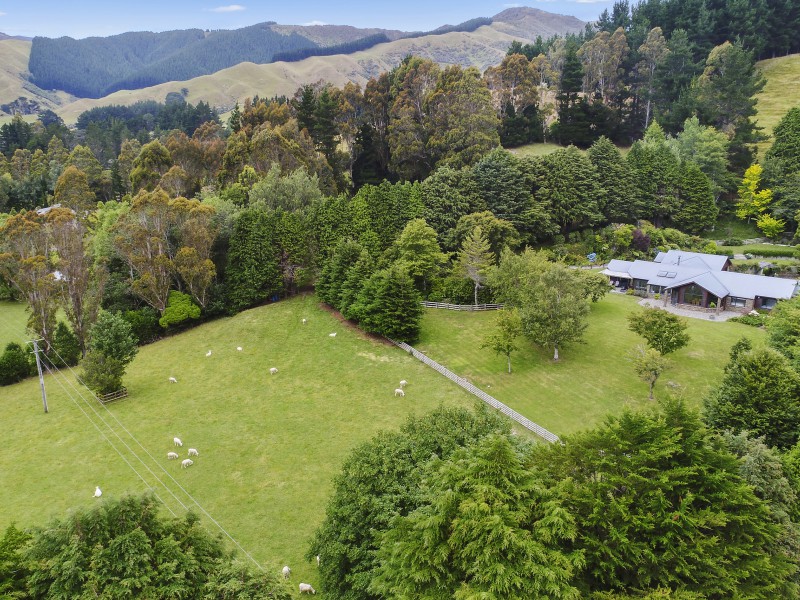 959 Whitemans Valley Rd, Whitemans Valley Upper Hutt 5371 Tommy's