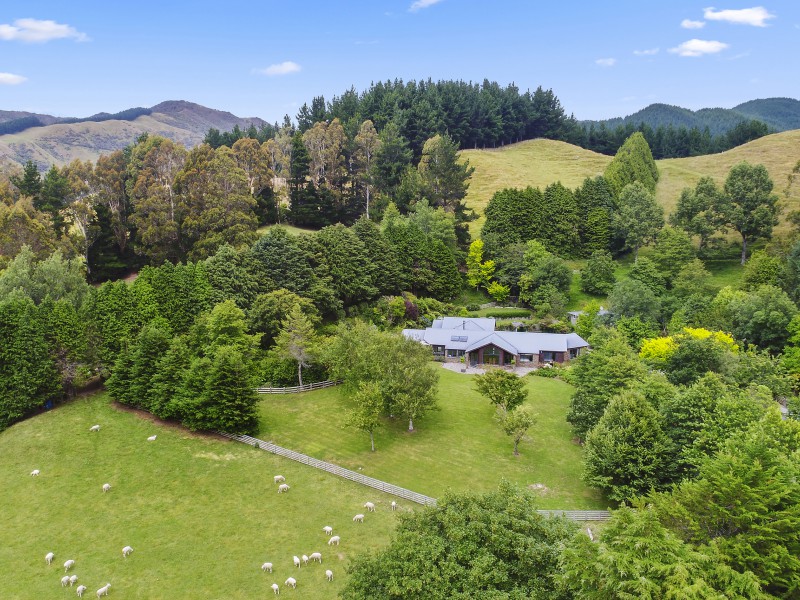 959 Whitemans Valley Rd, Whitemans Valley Upper Hutt 5371 Tommy's